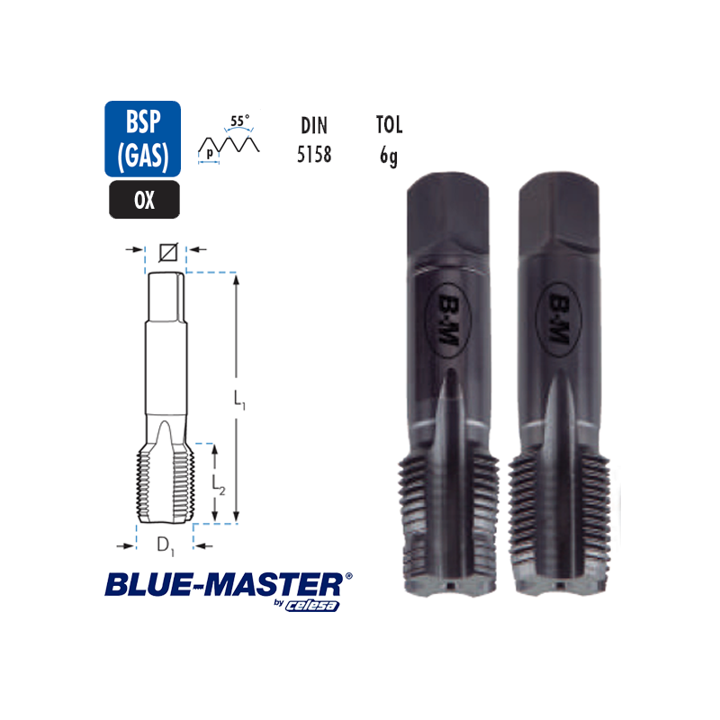 Juego de Macho Blue-Master HSSCo G OX