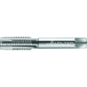Walter 20160-M8 HSS-E Machos de Roscar