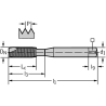 Walter 20211-M1 Machos de roscar a máquina HSS-E