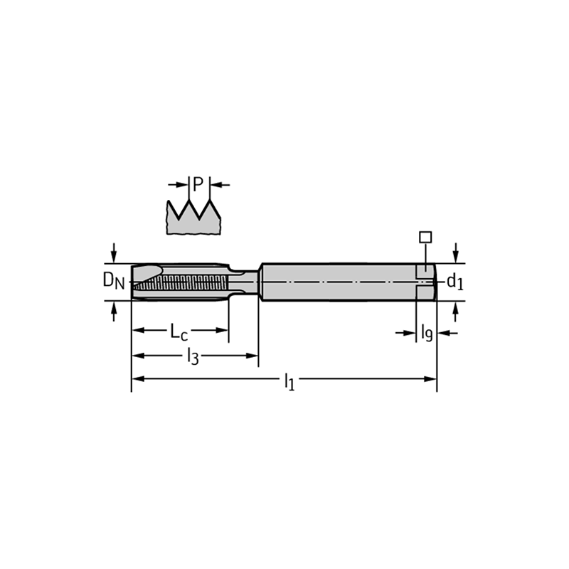 Walter 2021616-M5 Machos de roscar a máquina HSS-E-PM
