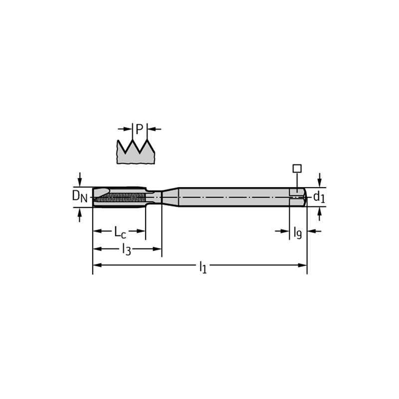 Walter 2021763-M2 Machos de roscar a máquina HSS-E-PM