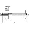 Walter 2021763-M2 Machos de roscar a máquina HSS-E-PM