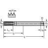 Walter 20316-M4 Machos de roscar a máquina HSS-E-PM