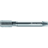 Walter 20361-M2.5 Machos de roscar a máquina HSS-E