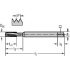 Walter 204069-EGM4 Machos de roscar a máquina HSS-E-PM