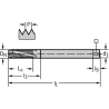 Walter 2041015-M12 Machos de roscar a máquina HSS-E-PM