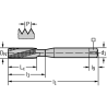 Walter 20411-M6 Machos de roscar a máquina HSS-E