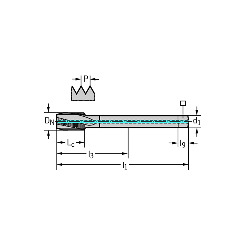 Walter 20460TR-M12 Machos de roscar a máquina HSS-E