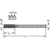 Walter 20954-M14 HSS-E Machos de Roscar Escalonados AMB