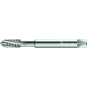Walter 224069-EGUNC4 Machos de roscar a máquina HSS-E-PM