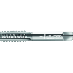 Walter 24165-G1 HSS-E Machos de Roscar
