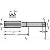 Walter 24165-G3/4 HSS-E Machos de Roscar