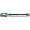 Walter 24460-G1/4 Machos de roscar a máquina HSS-E