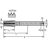 Walter 25167-NPT3/4 Machos de roscar a máquina HSS-E