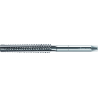Walter 29100-TR10X3 HSS-E Machos de Roscar Trapezoidales