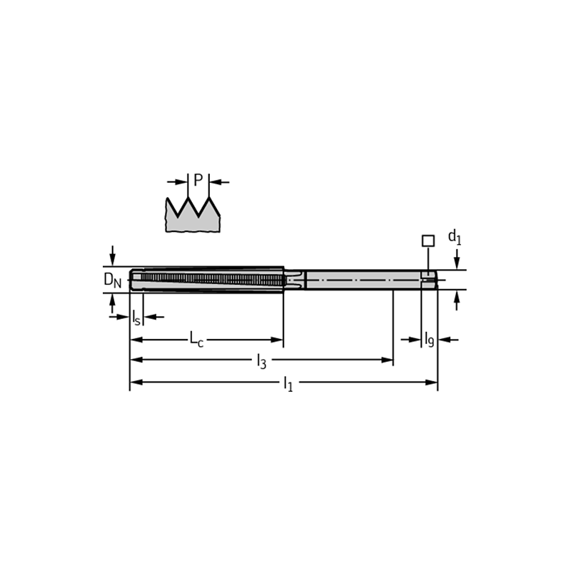 Walter 29100-TR10X3 HSS-E Machos de Roscar Trapezoidales