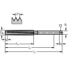Walter 29100-TR10X3 HSS-E Machos de Roscar Trapezoidales