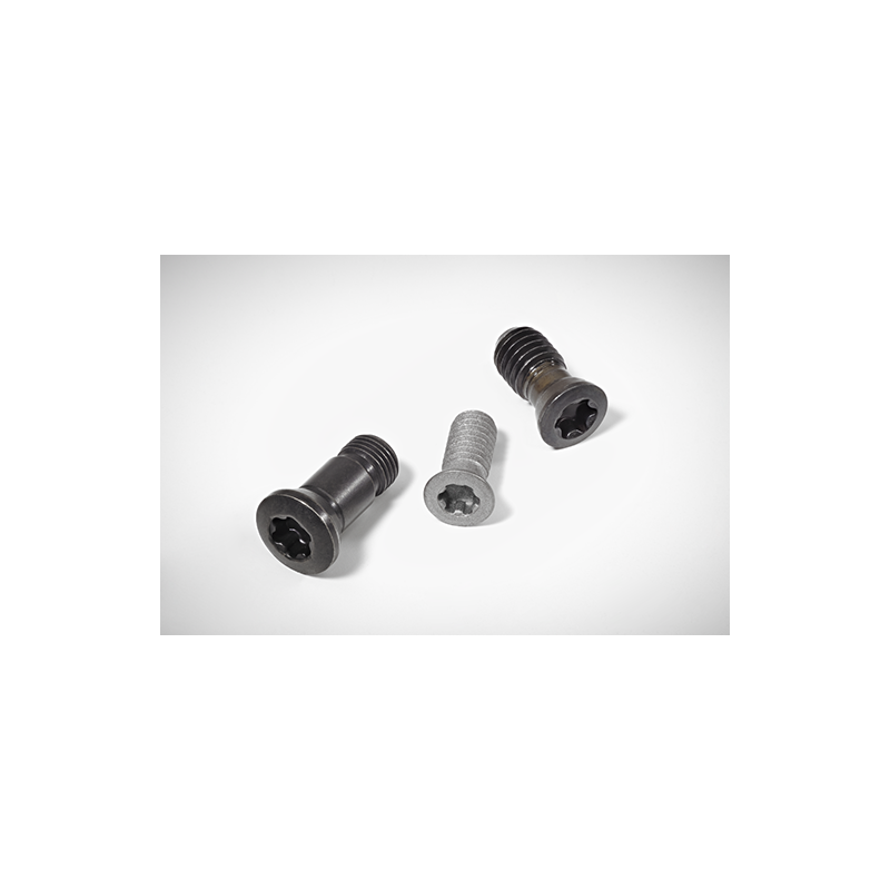 Walter 5512 067-01 Tornillos con cabeza