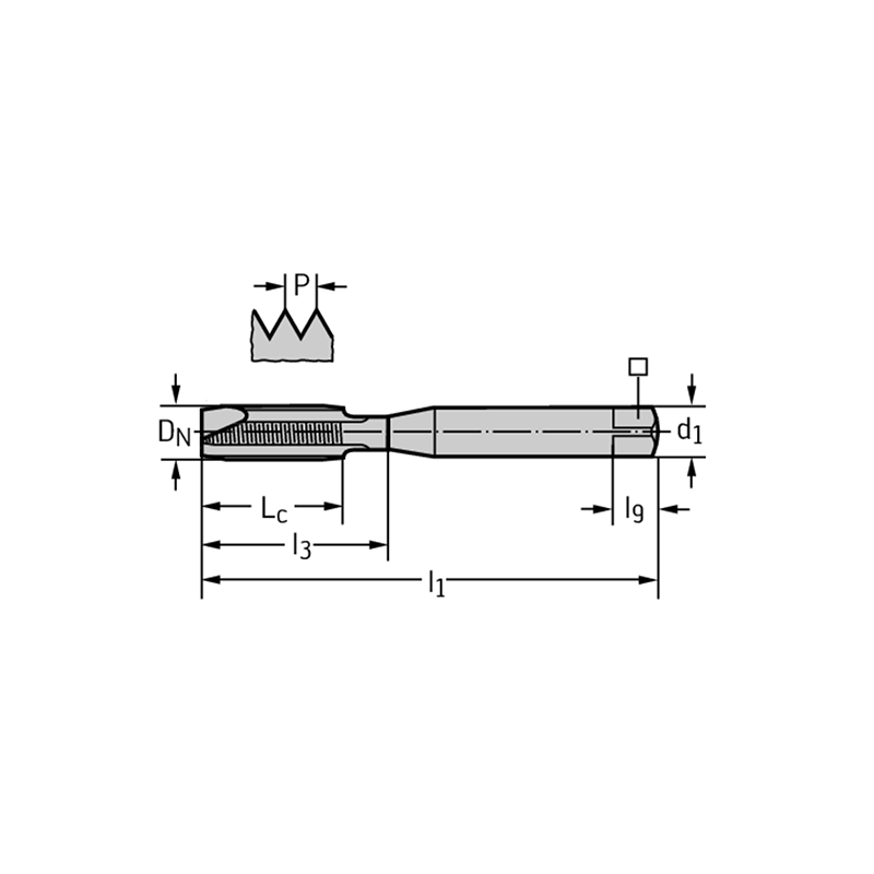 Walter 7021365-M10 Machos de roscar a máquina HSS-E-PM