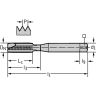 Walter 7021365-M10 Machos de roscar a máquina HSS-E-PM