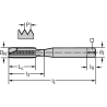 Walter 7021366-M4 Machos de roscar a máquina HSS-E-PM