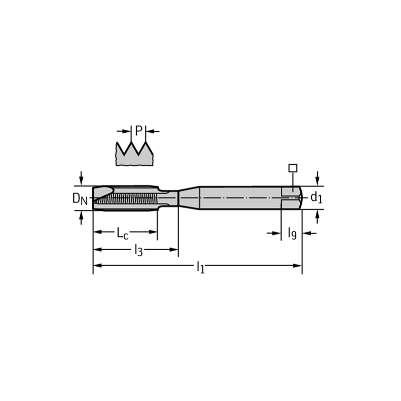 Walter 7021366-M6 Machos de roscar a máquina HSS-E-PM