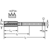 Walter 7026365-M20 Machos de roscar a máquina HSS-E-PM