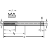 Walter 80311-M3 Machos de Máquina Metal Duro