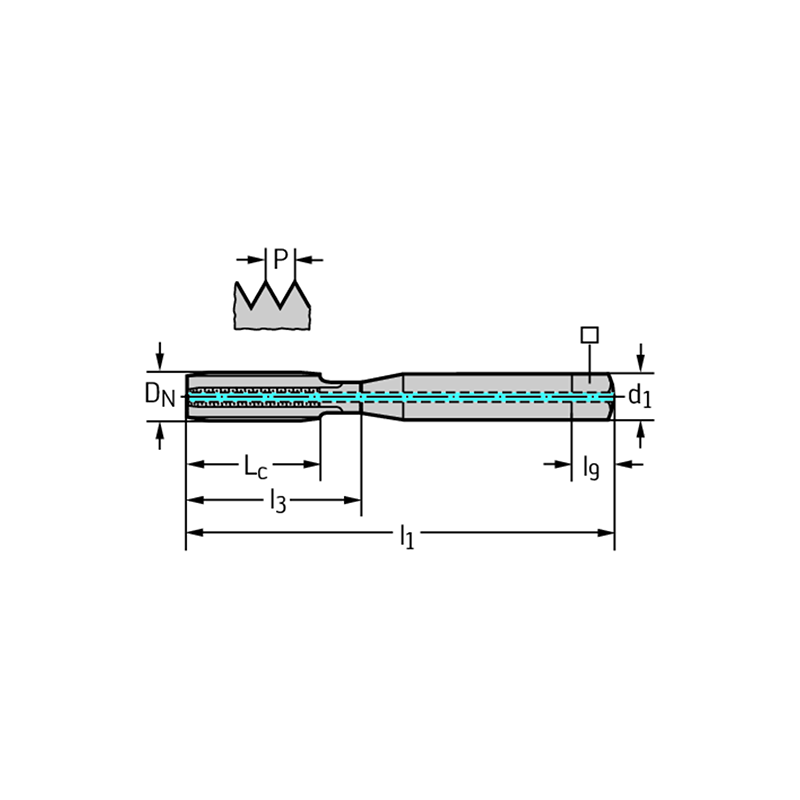 Walter 8031116-M10 Machos de Máquina Metal Duro