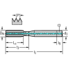 Walter 8031116-M10 Machos de Máquina Metal Duro