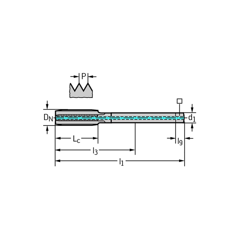 Walter 8036310-M12 Machos de Máquina Metal Duro