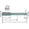 Walter 8036310-M12 Machos de Máquina Metal Duro