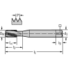 Walter 8041006-M5 Machos de Máquina Metal Duro