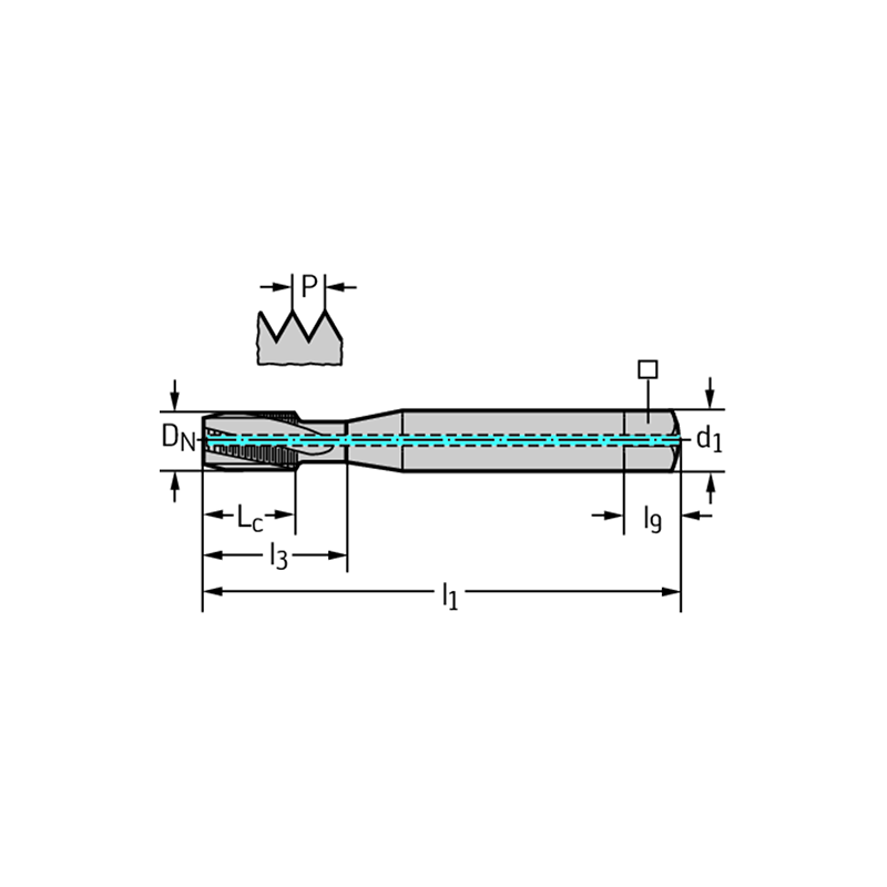 Walter 804101-M8 Machos de Máquina Metal Duro
