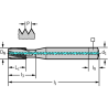 Walter 8041056-M10 Machos de Máquina Metal Duro