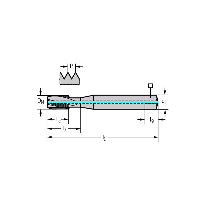 Walter 8041056-M6 Machos de Máquina Metal Duro