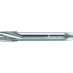 Walter 804601-M12 Machos de Máquina Metal Duro