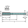 Walter 8136310-M12X1.25 Machos de Máquina Metal Duro