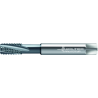 Walter 8141056-M6X0.75 Machos de Máquina Metal Duro