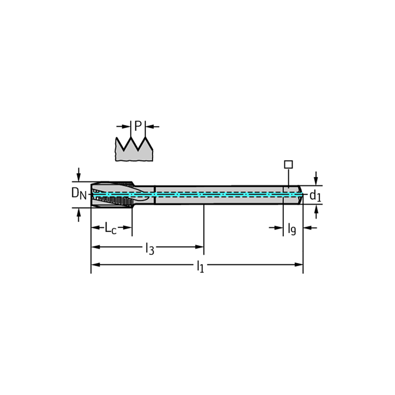 Walter 8146056-M12X1 Machos de Máquina Metal Duro