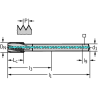 Walter 8146056-M12X1 Machos de Máquina Metal Duro
