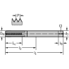 Walter 8231106-UNC5/16 Machos de Máquina Metal Duro