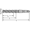 Walter A4722-21 Brocas helicoidales HSS con MK, extralargas