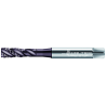 Walter AEP2251312-UNC5/16 Machos de roscar a máquina HSS-E-PM
