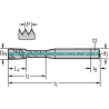 Walter AEP2251312-UNC5/16 Machos de roscar a máquina HSS-E-PM