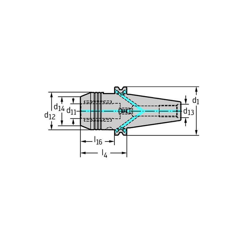 Walter AK182.CAT50.081.32 Mandril de sujeción de dilatación hidráulica ASME B5.50 AK182.CAT