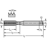 Walter AK2231407-UNC1/4 Machos de roscar a máquina HSS-E-PM