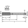 Walter AK2236407-UNC1/2 Machos de roscar a máquina HSS-E-PM