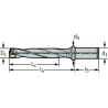 Walter D4140-05-19.00A20-D Broca con plaquitas intercambiables D4140-05