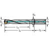 Walter D4140-05-35.00F40-N Broca con plaquitas intercambiables D4140-05